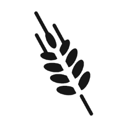 Gluten Gluten
